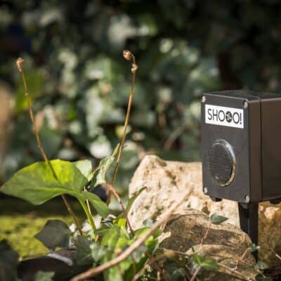 Shooo! Heron Scarer. Battery Powered. 4 x AA Included