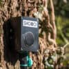 Bird Scarer Mounted on Tree