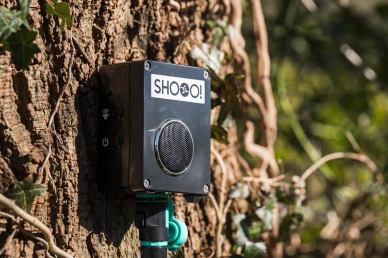 Bird Scarer Mounted on Tree