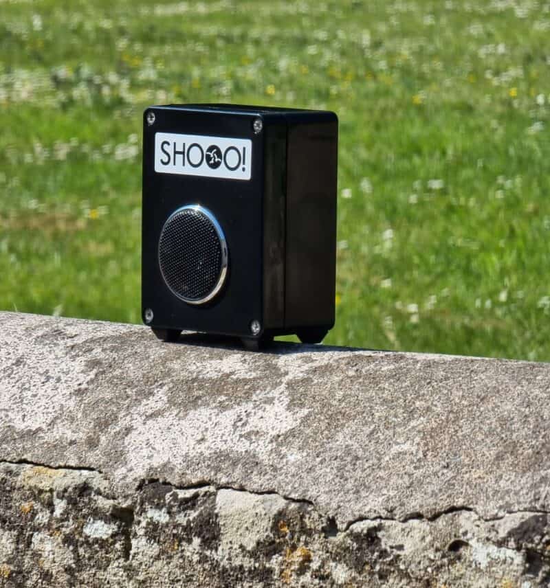 Magpie Scarer on Wall