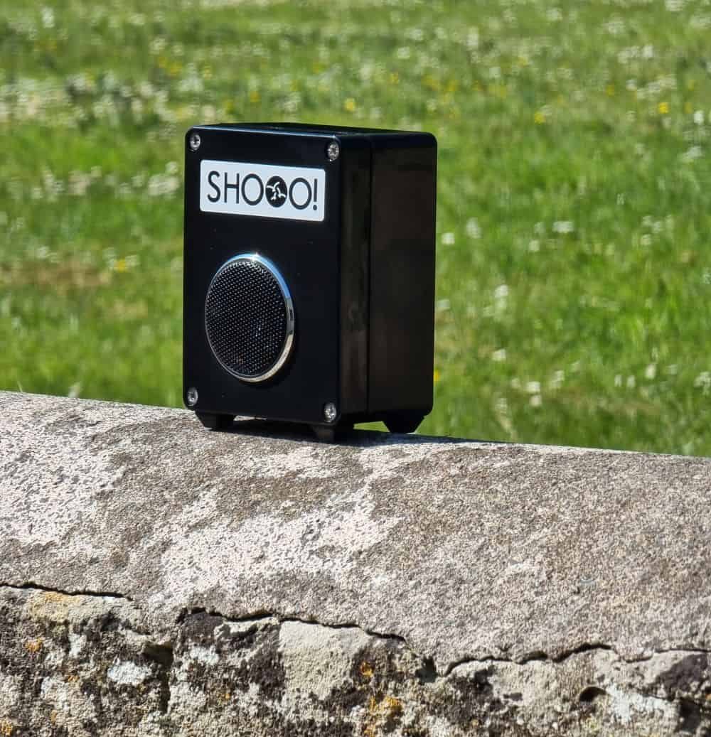 Magpie Scarer on Wall